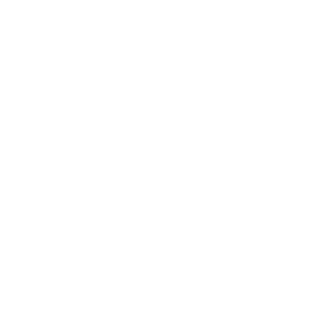 VINXIS Logo